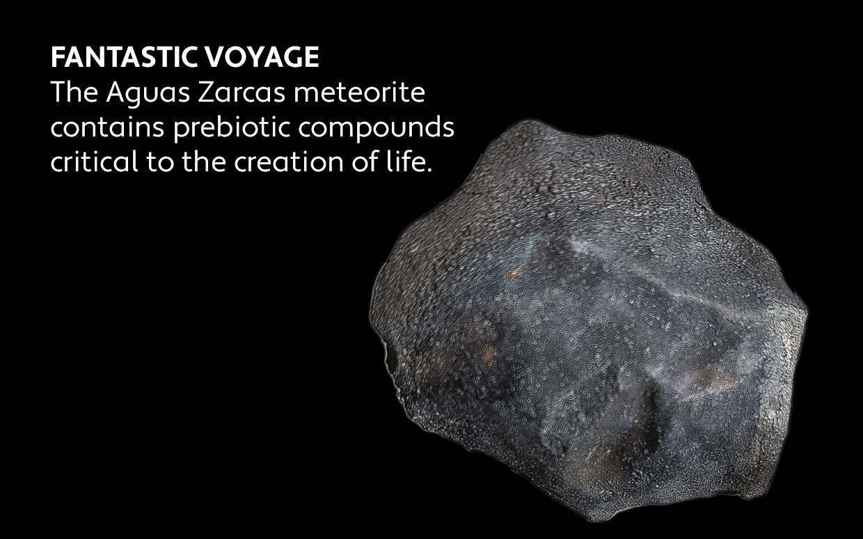 Photo of the Aguas Zarcas meteorite