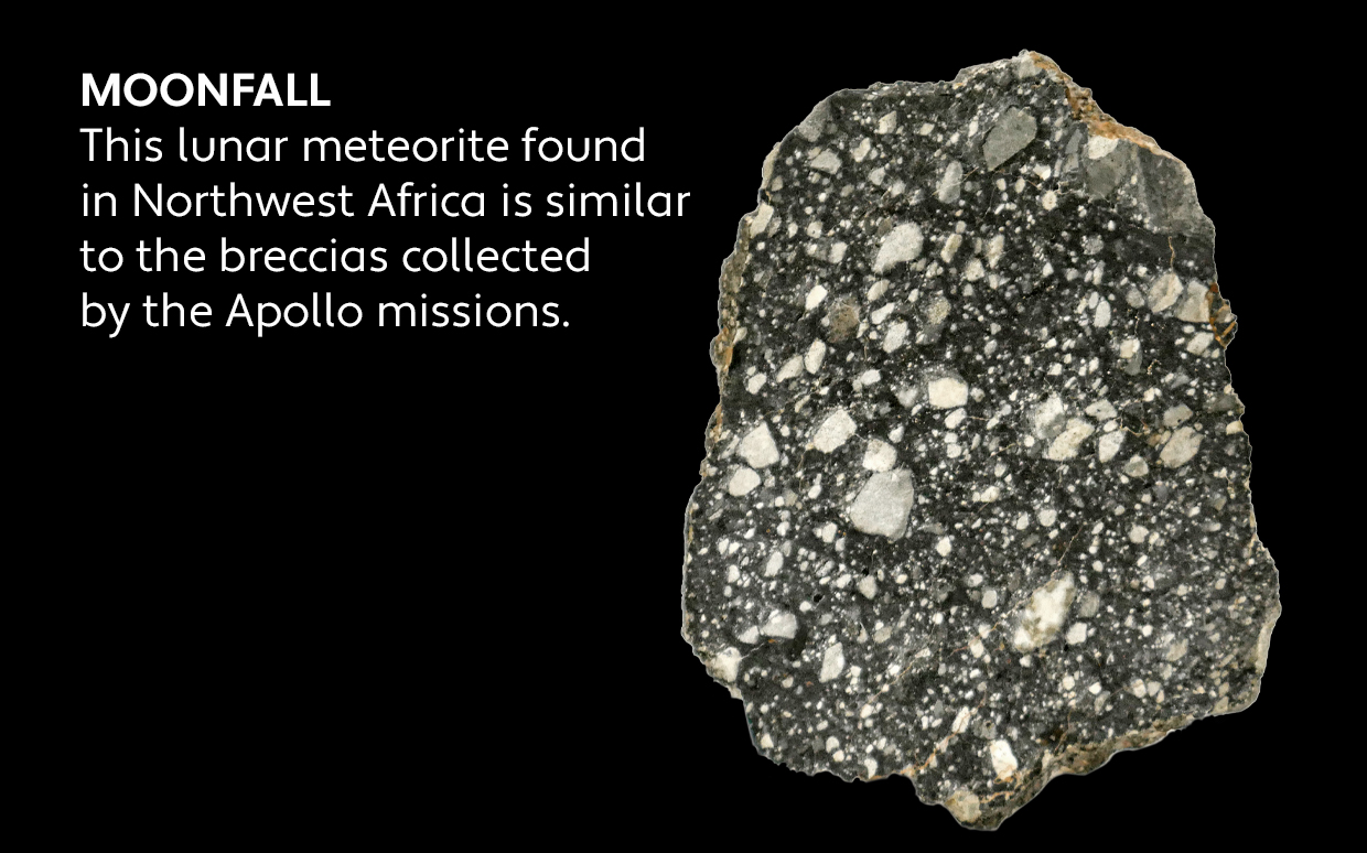 Photo of a lunar meteorite found in Northwest Africa